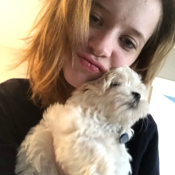 Meet your Posher, Tory - Picture 1 of 1